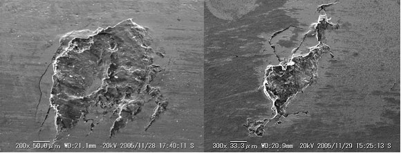 Fig. 4 Spalling initiated on nut raceway after running 6.65~106rev