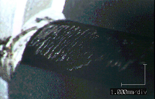 Fig.3 Spalling initiated on Spline nut end portion