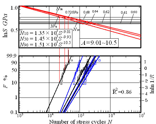 Fig. 2 Life distribution and Weibull plot, and 2-parameter Weibull-based P-S-N curve