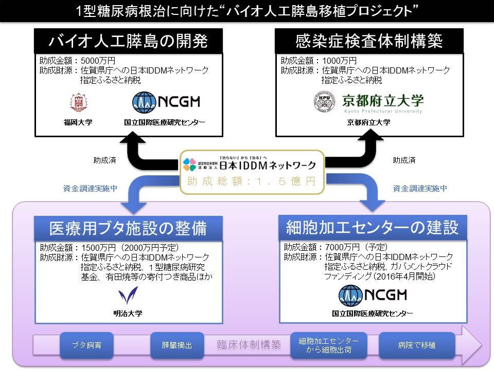 図１　１型糖尿病根治に向けた「バイオ人工膵島移植プロジェクト」（日本IDDMネットワークの資料に基づき作成）