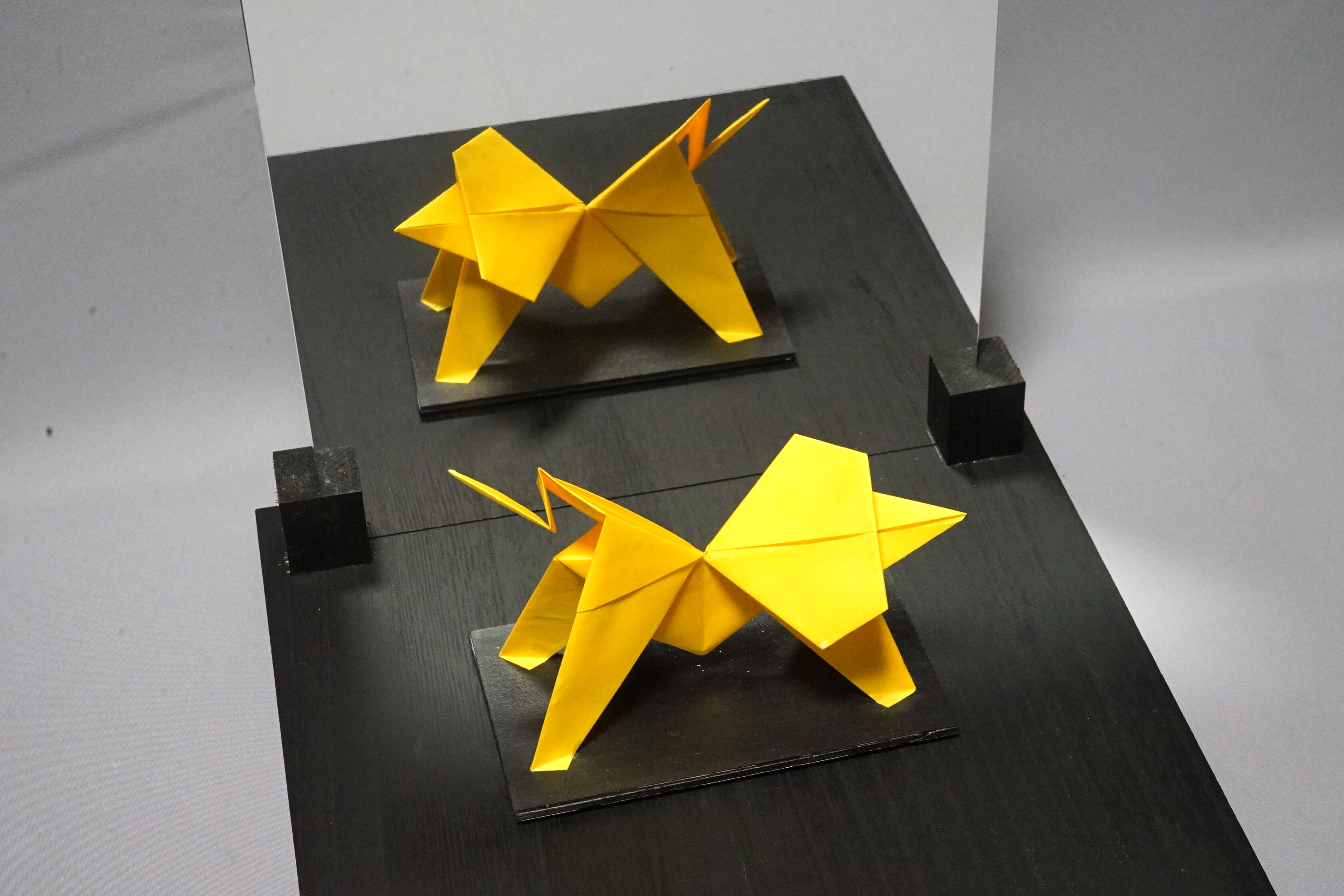 入選作品「すれ違うライオン」