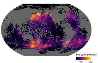 海鳥類の生息密度の解析結果