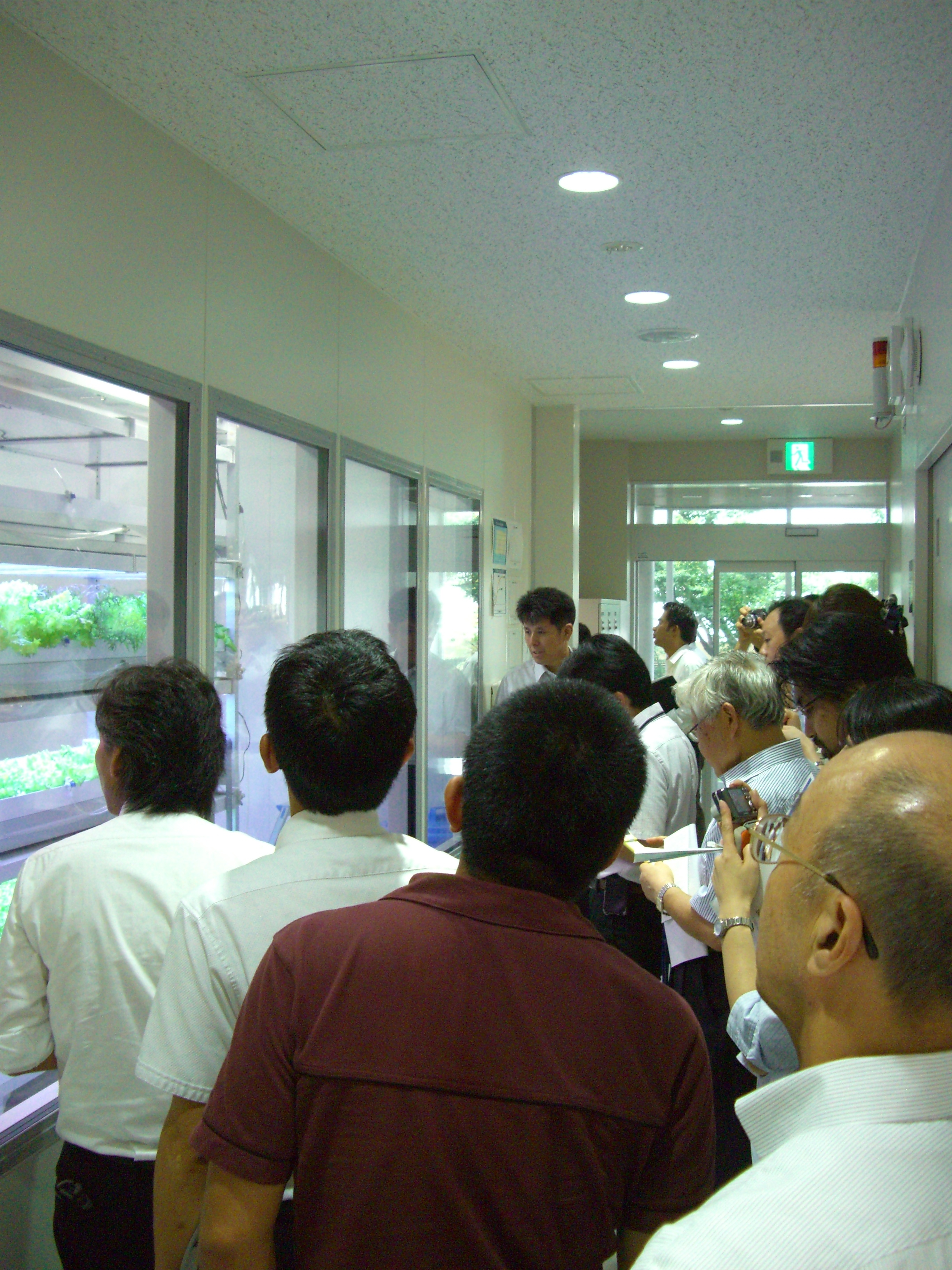 見学のようす