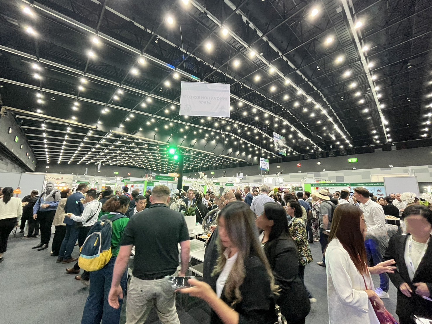 展示会場の様子