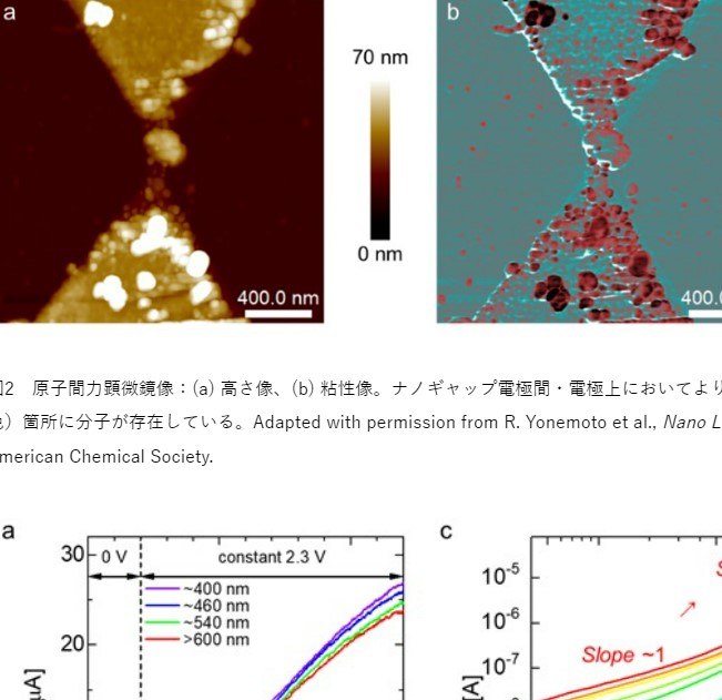 ナノギャップ電極を基盤とした電気化学発光セルの開発に成功 ～分子スケール電流励起発光源の実現に向けた大きな一歩～ 明治大学 理工学部 野口 裕教授らの研究グループ