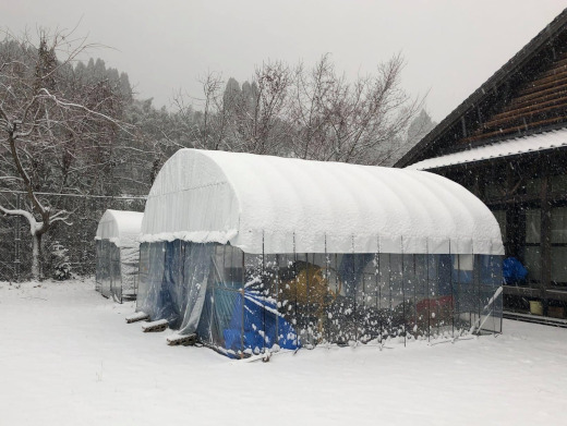 生ごみリサイクル堆肥の発酵スペース。雪のなかでもきちんと発酵しています(宮崎県五ヶ瀬町)