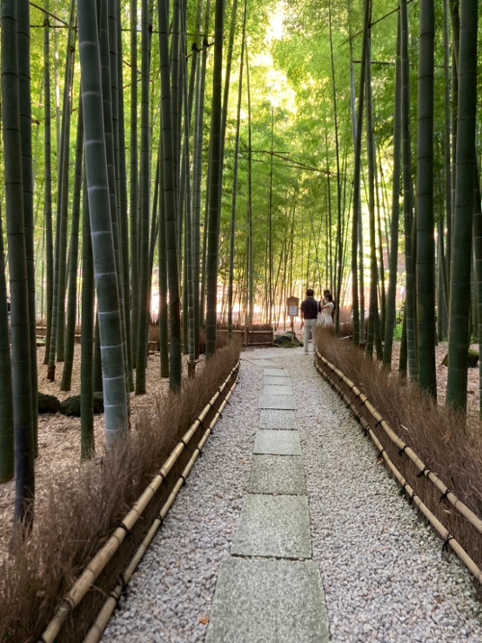 留学生にとって一番日本らしさが感じられた場所だったそうです。