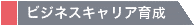 ビジネスキャリア育成