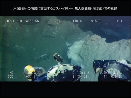 松本良（研究知財）・海洋研究開発機構の無人探査機ハイパードルフィンで撮影