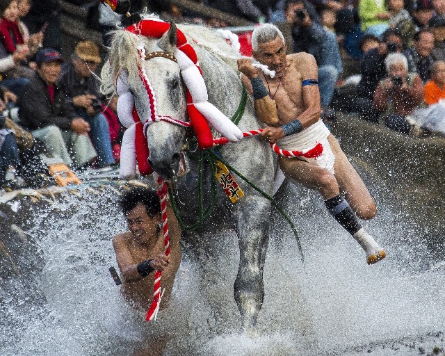 八代妙見祭　勇壮な馬（神馬）追い（八代市）