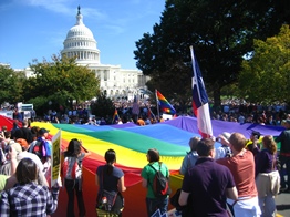 LGBTへの平等の保障を求めて、ワシントンの連邦議事堂前に集結したデモ行進【2009年】