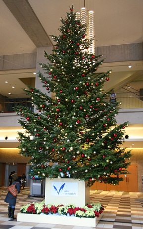 昨年，本学駿河台キャンパスに設置されたクリスマスツリー