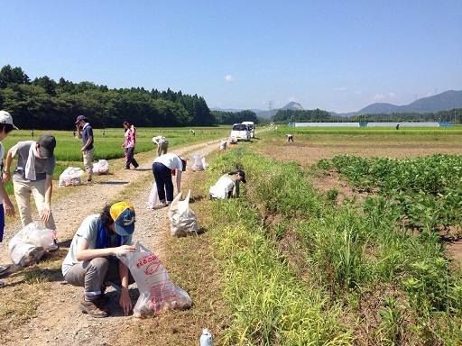 打ち上げ花火の燃えカス回収作業