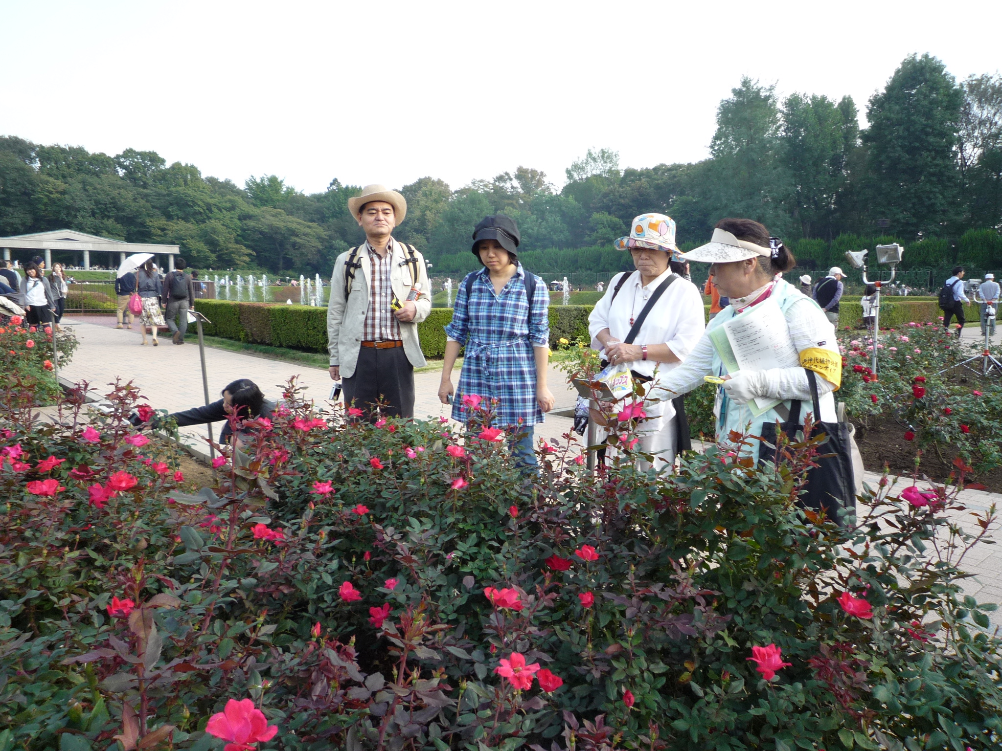 神代植物公園のバラ園を散策