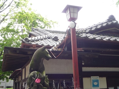 神社の屋根の上で寝る猫