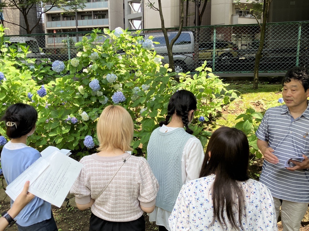 アジサイの説明をする多田先生