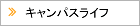 �L�����p�X���C�t