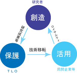 創造→保護→活用→創造